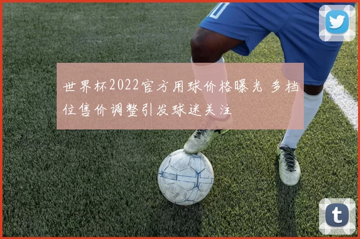 世界杯2022官方用球价格曝光 多档位售价调整引发球迷关注